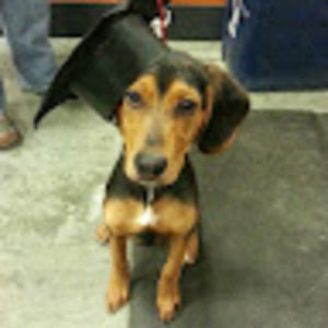 Meet your Posher, Melinda